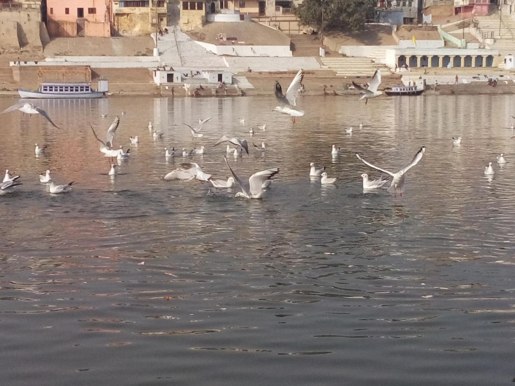 Tandon Lodge On The Ganga Ghat Homestay Varanasi Esterno foto